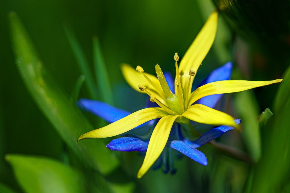 Photograph by Valdis Serzhans