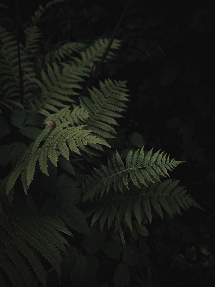 Photograph by Дарья Макаревич