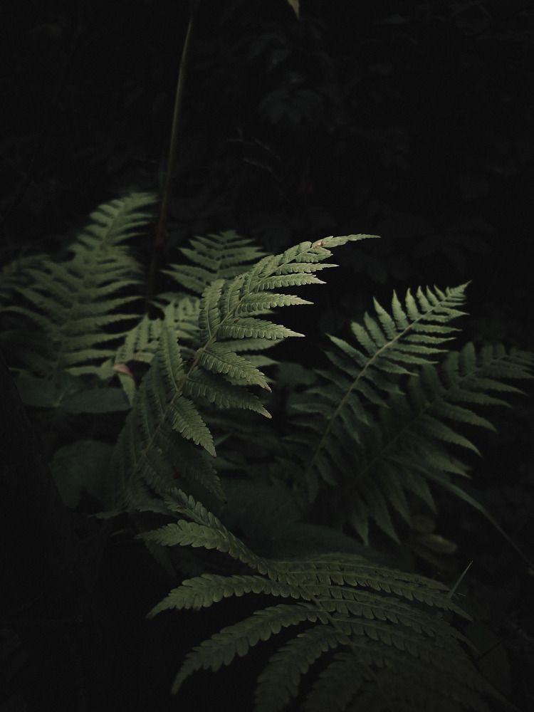 Photograph by Дарья Макаревич