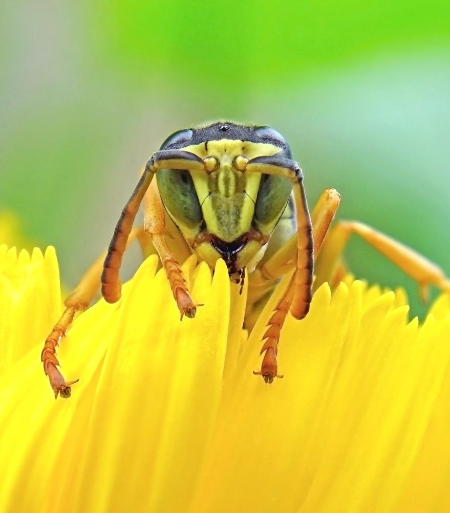 Photograph by Наталья Соколова