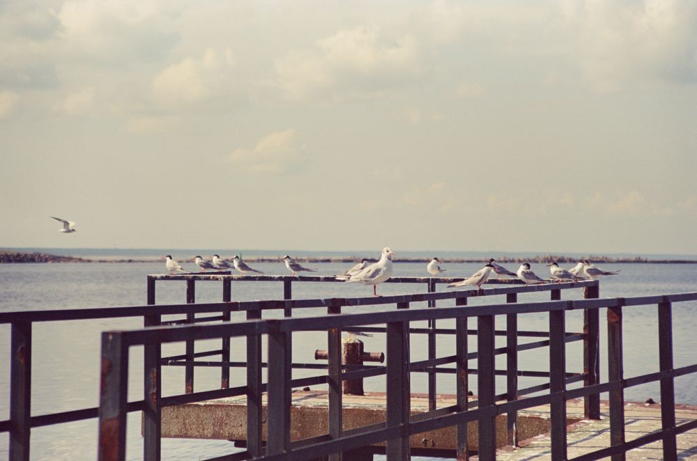Photograph by Anastassia Dyubkova