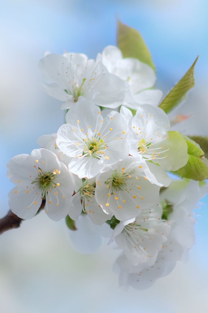 Photograph by Александр Слепцов