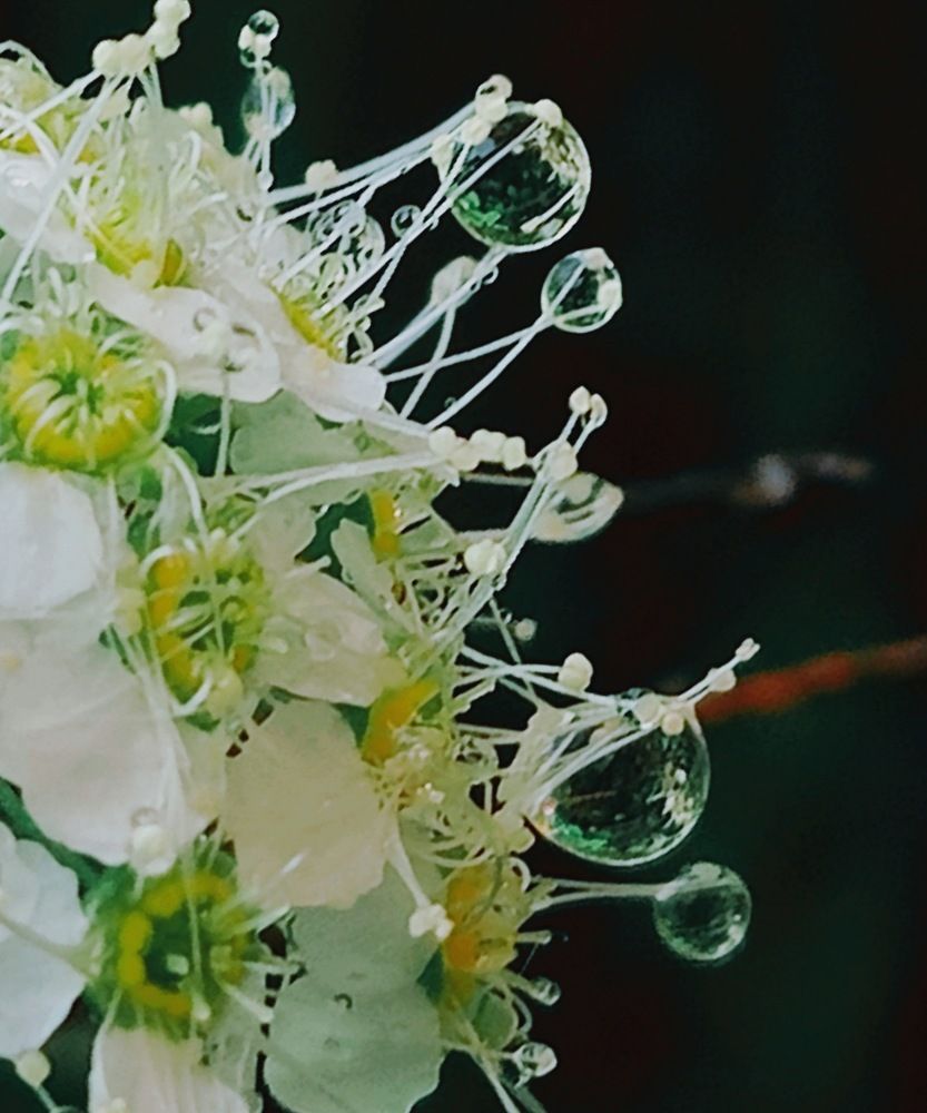 Photograph by Татьяна Гулакова