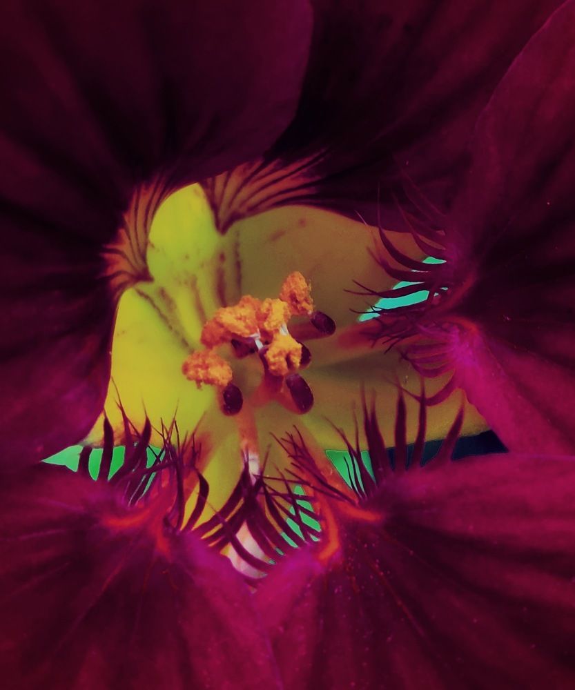 Photograph by Татьяна Гулакова