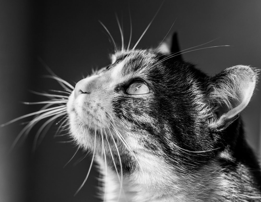 Фотография автора Виталий Панченко