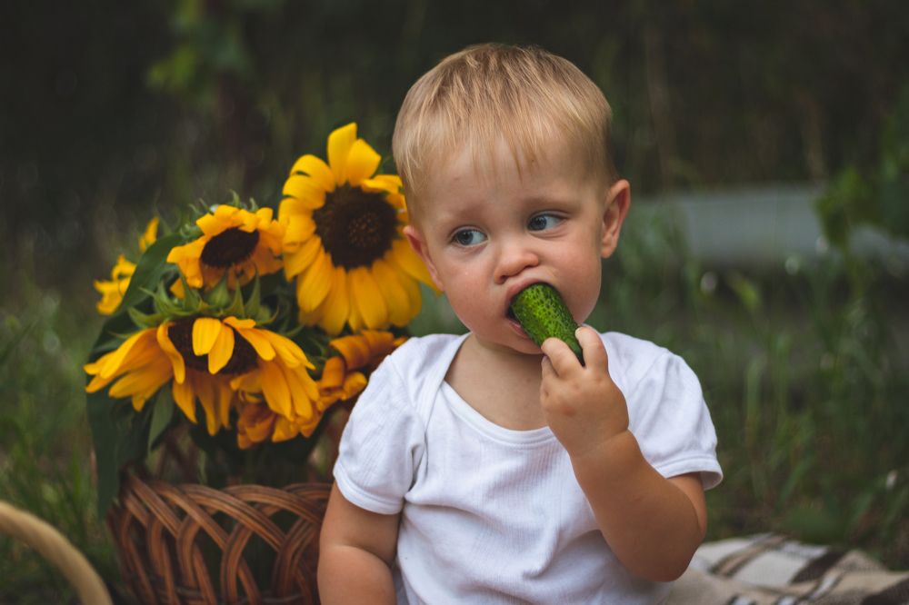Фотография автора Виталий Панченко