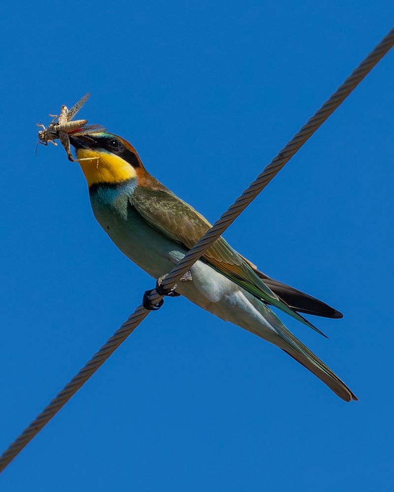 Photograph by Филипп Циплёнков