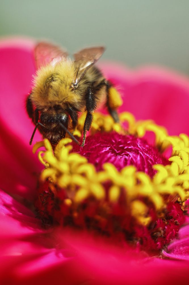 Photograph by Бабурина Анна