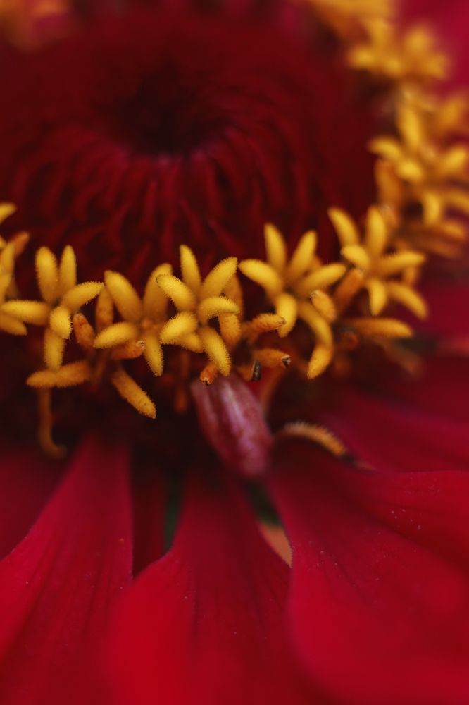 Photograph by Бабурина Анна