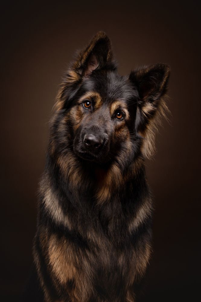 Photograph by Foscofotografie • Lotte van Alderen