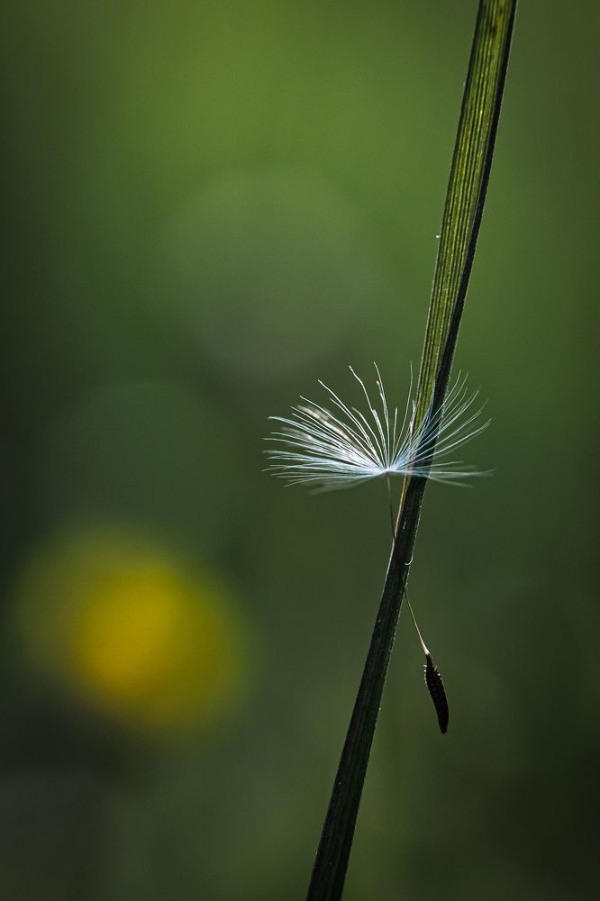 Photograph by Дарья Кончакова