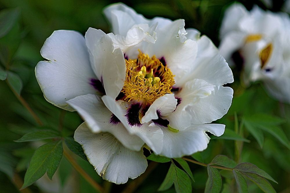 Photograph by Вадим Гераскин