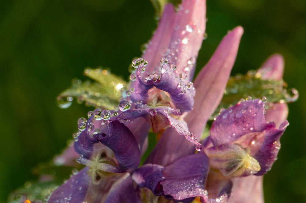 Фотография автора Екатерина Счасная