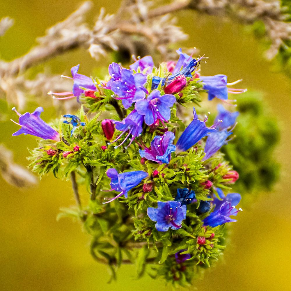 Фотография автора Владимир Чуприков