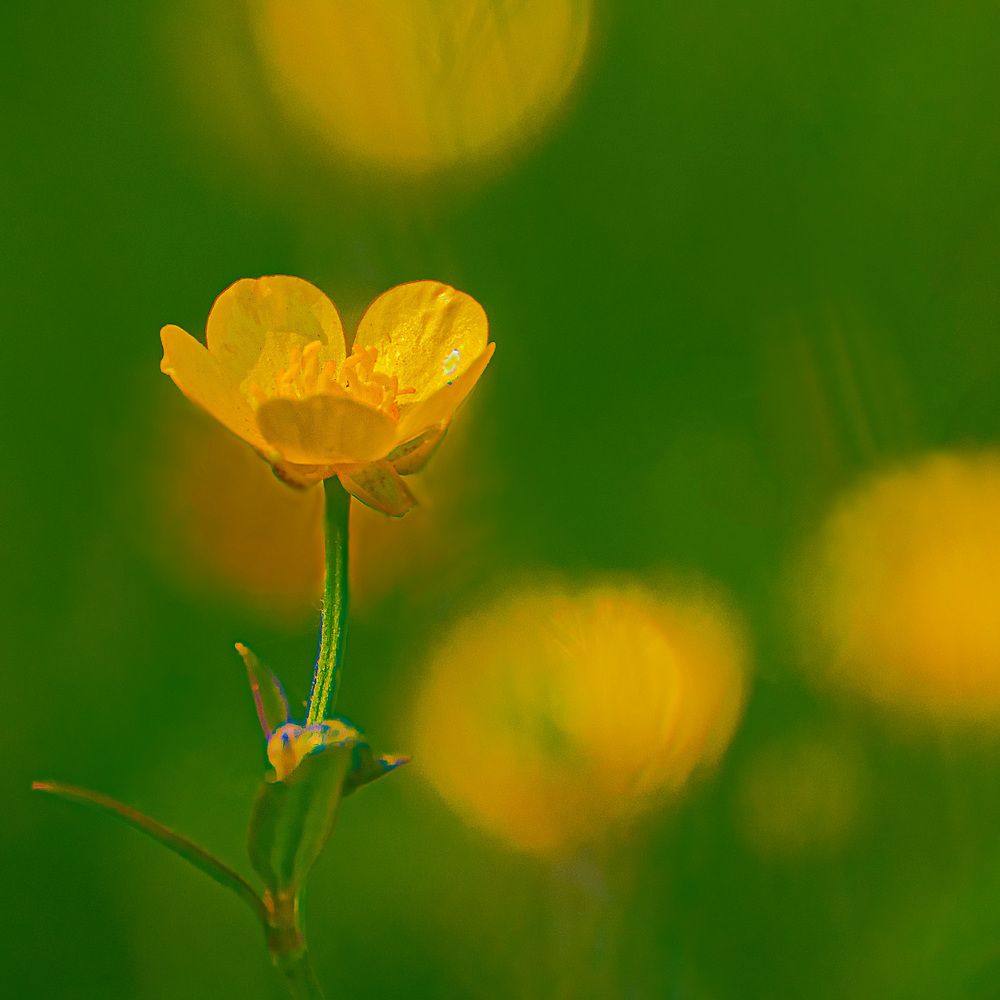 Фотография автора Владимир Чуприков