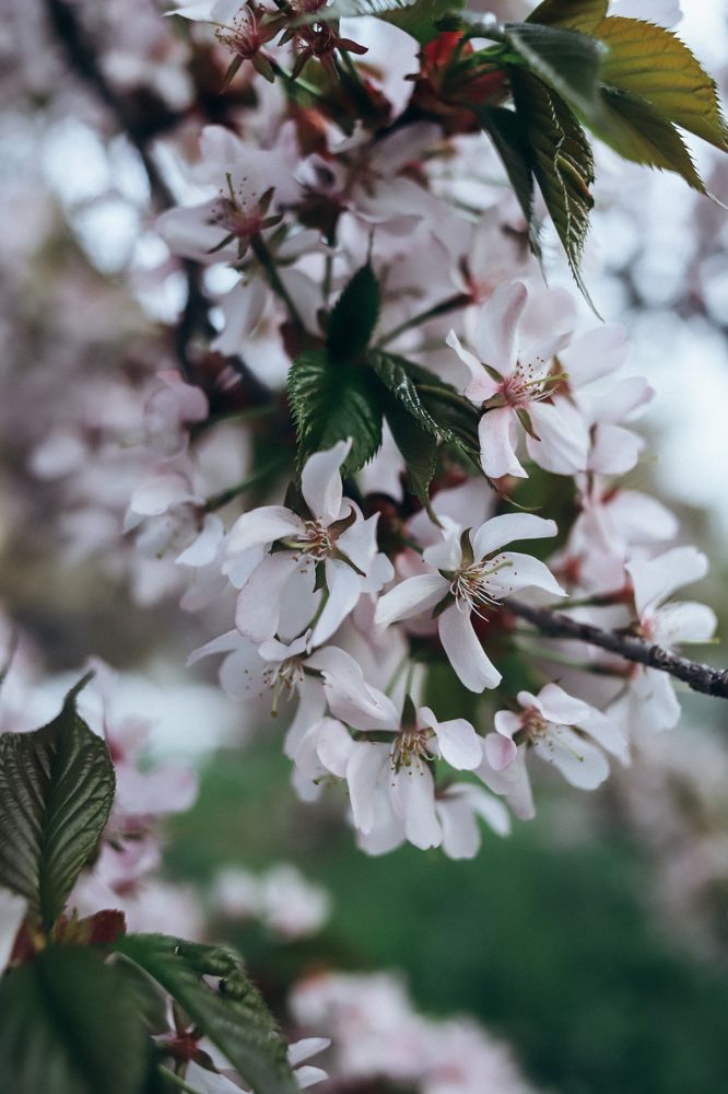 Photograph by Гузель Миникаева