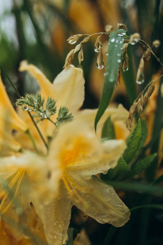 Photograph by Гузель Миникаева