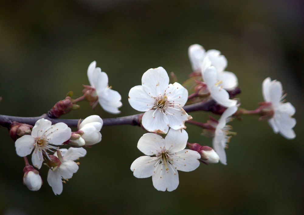 Photograph by Глеб Кузьминых