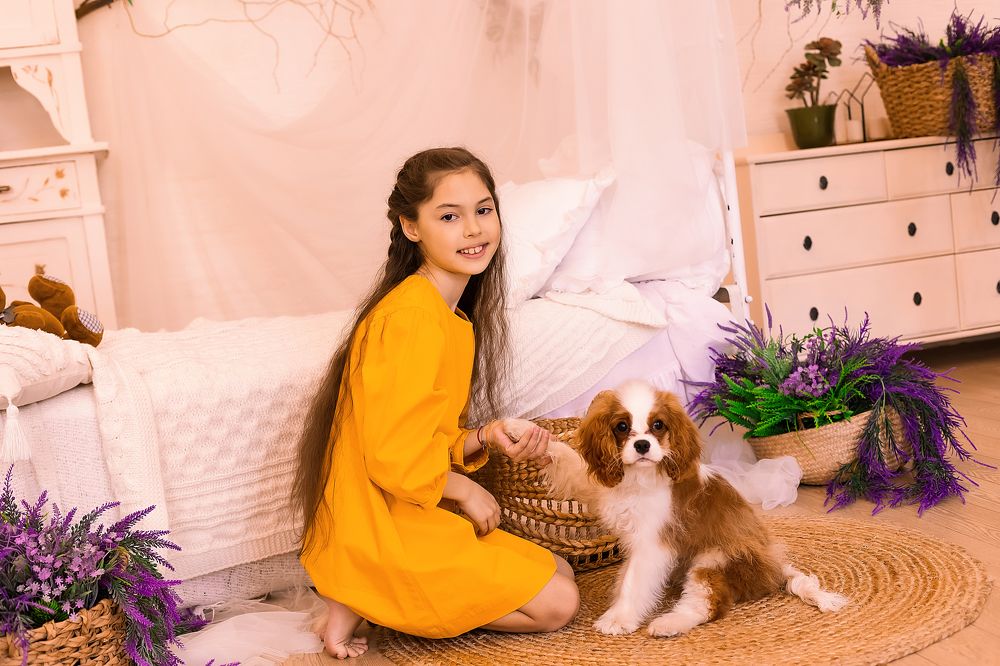 Photograph by Толмачёва Ирина