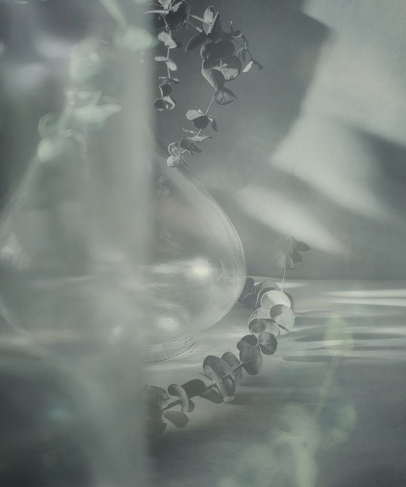 Photograph by Татьяна Гулакова