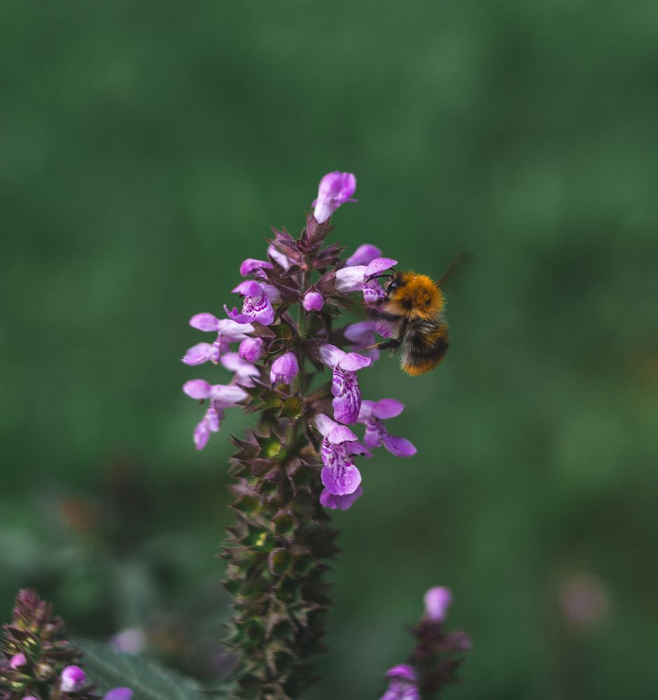 Photograph by Natalya Zimakova