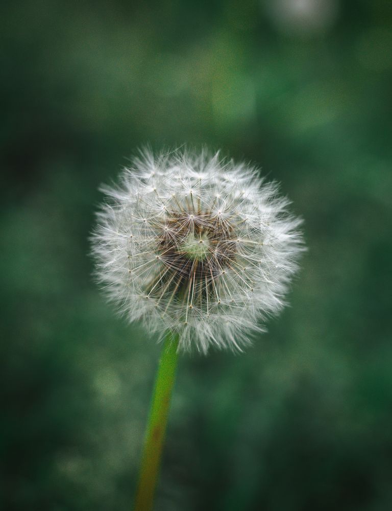 Photograph by Natalya Zimakova