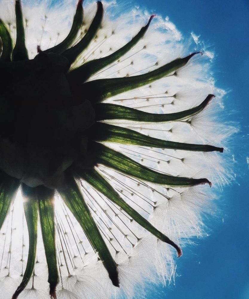 Photograph by Татьяна Гулакова