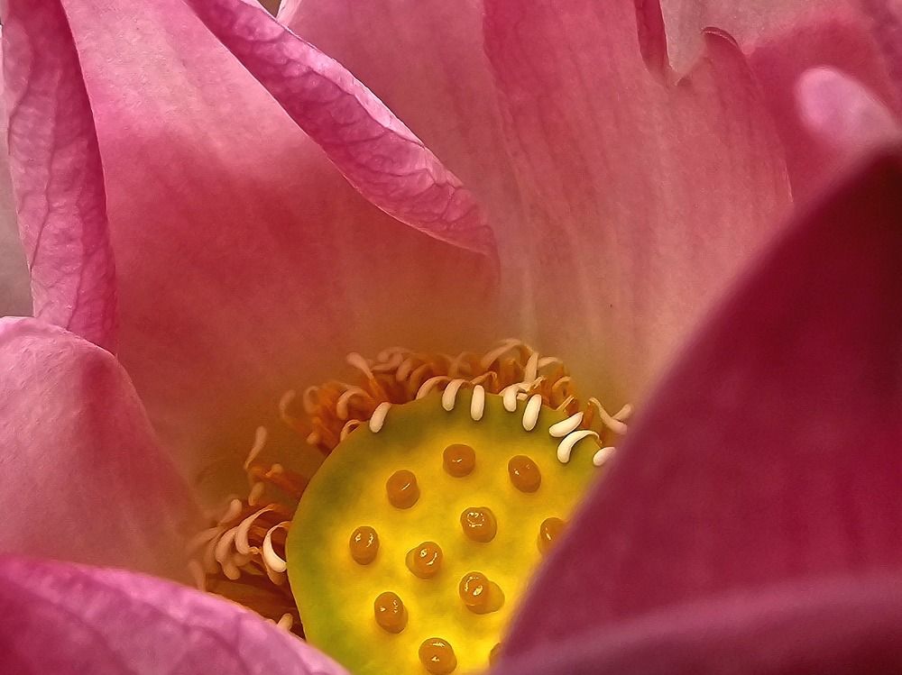 Photograph by Анна Семенова