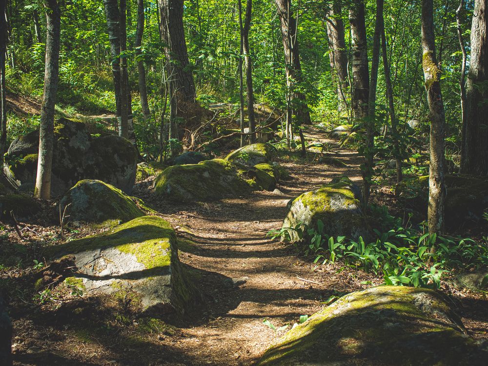 Photograph by Владимир Поздняков