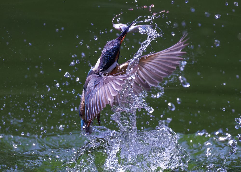 Photograph by Benny Chan