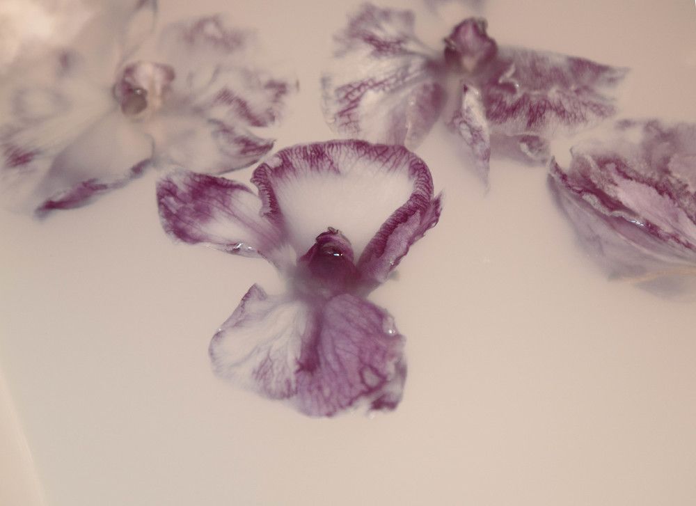 Photograph by Лилия Маяковски