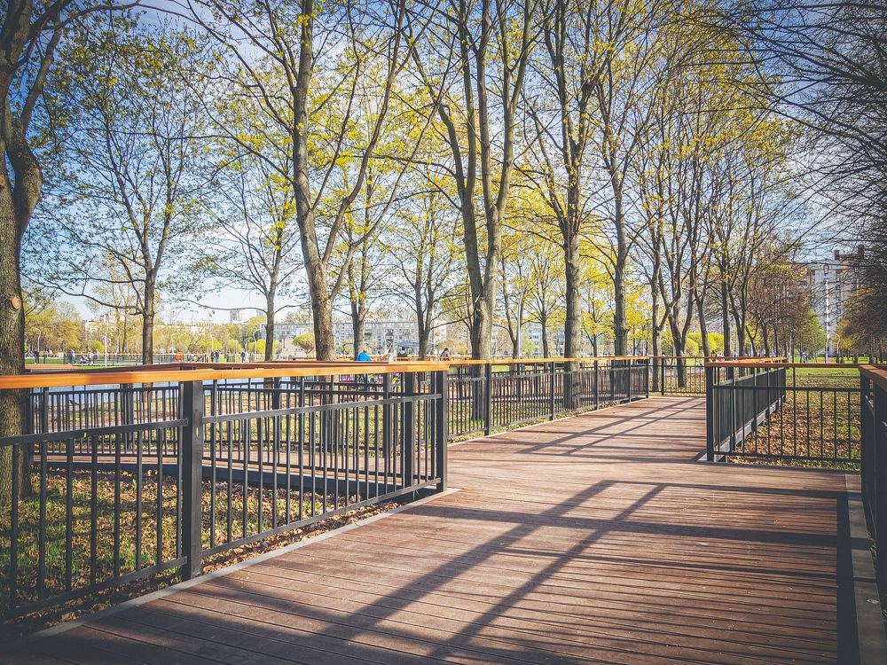 Photograph by Владимир Поздняков