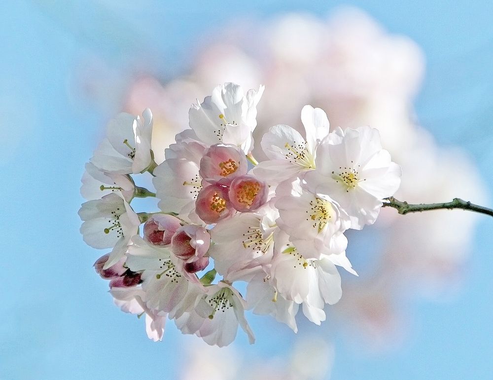 Фотография автора Александр