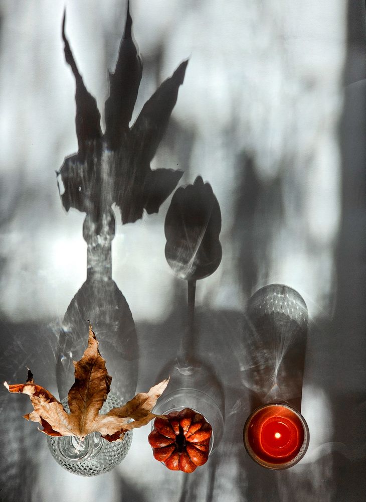 Photograph by Alexandra Sergeeva