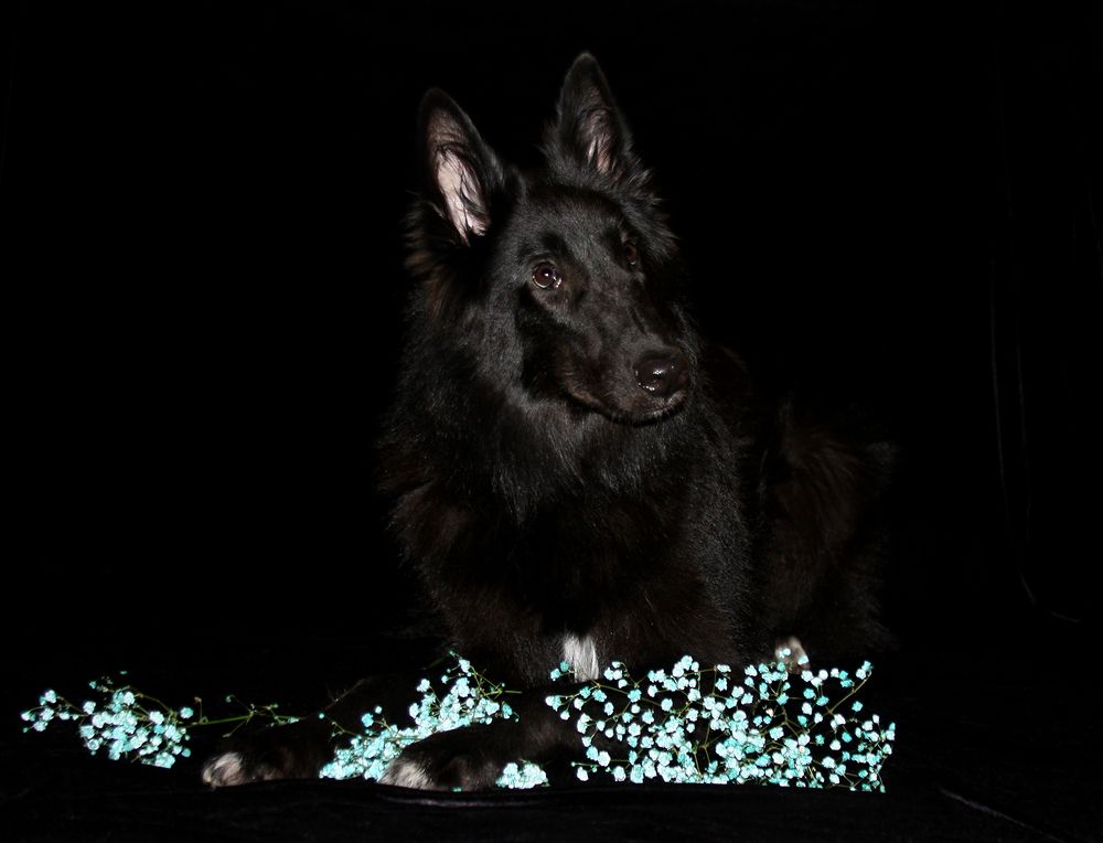 Фотография автора Надежда Лисицына