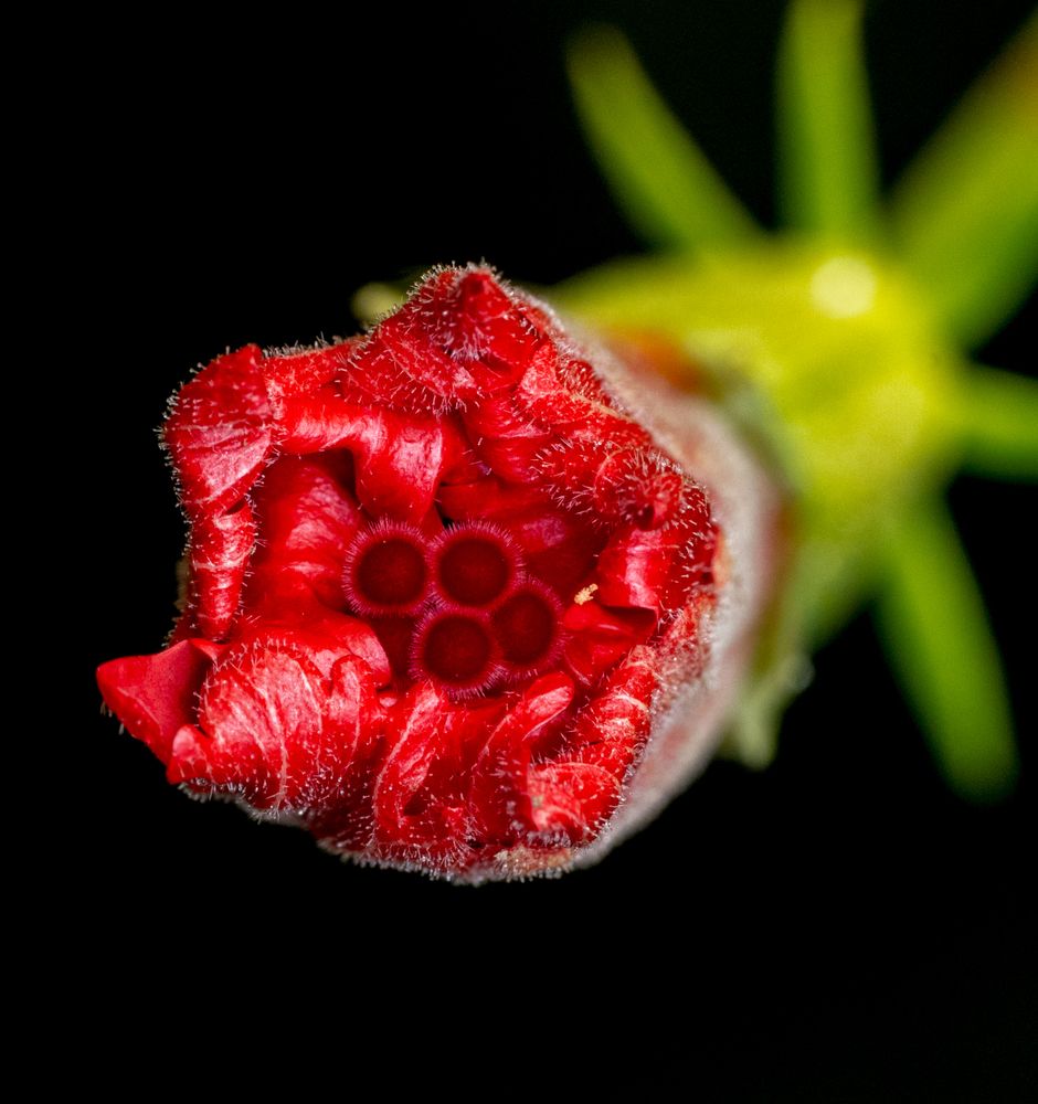 Photograph by Rachana madhav