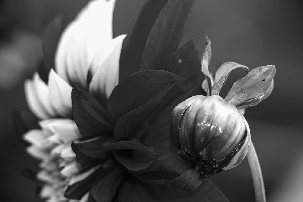 Photograph by Марианна Бессонова