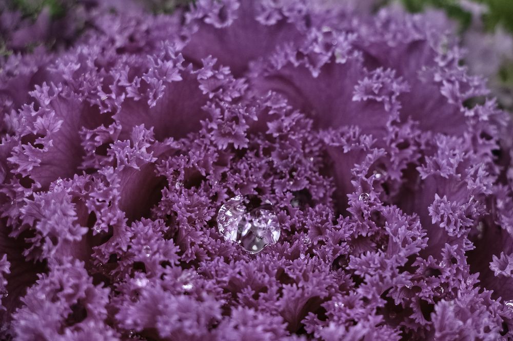 Photograph by Марианна Бессонова