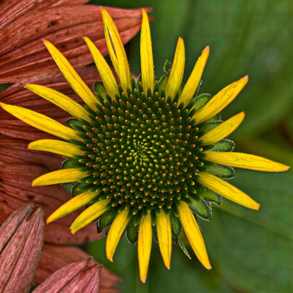 Светофорная композиция