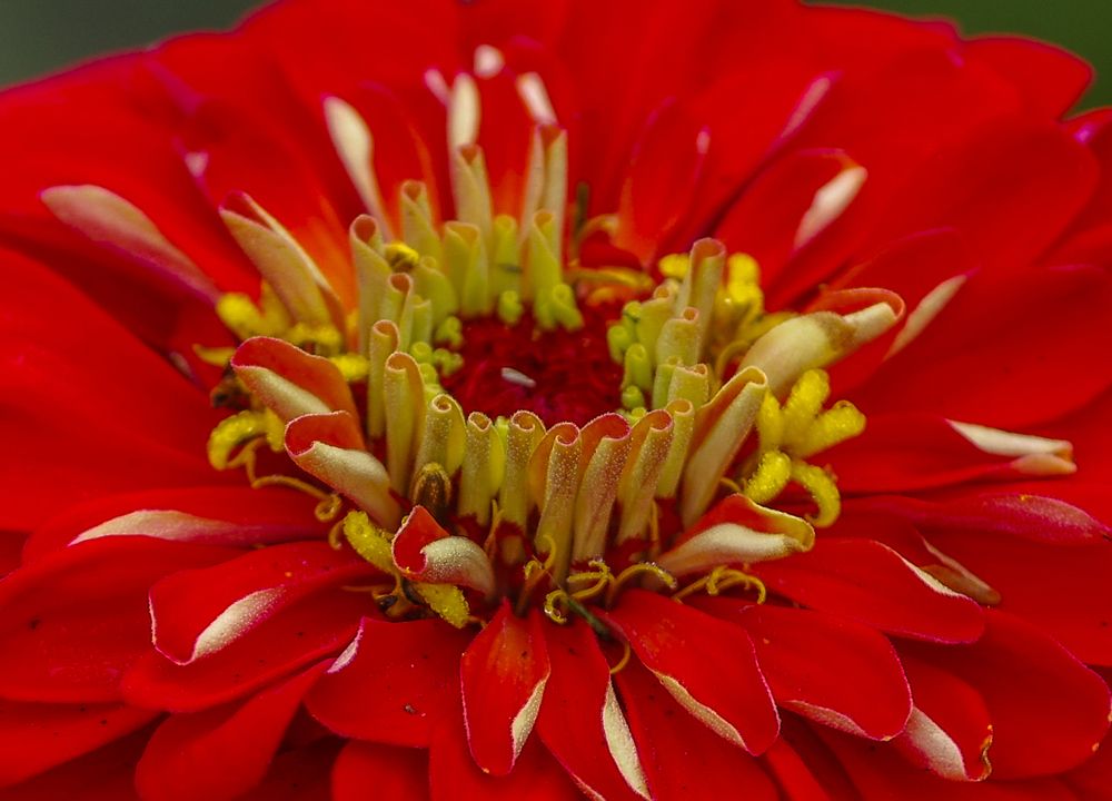 Photograph by Михаил Измайлов