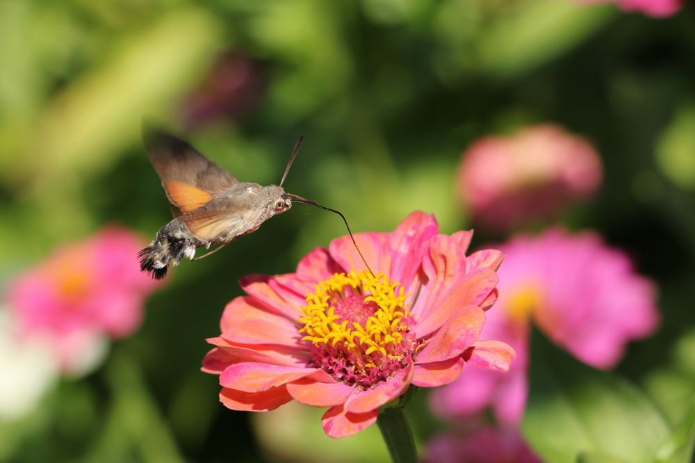 Photograph by Cengiz Yalcin