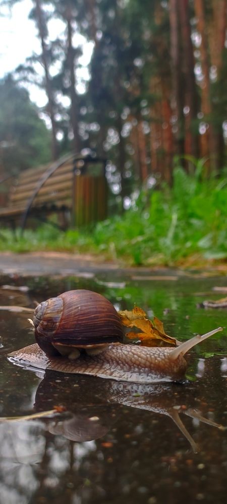 Photograph by Анна Маскалик