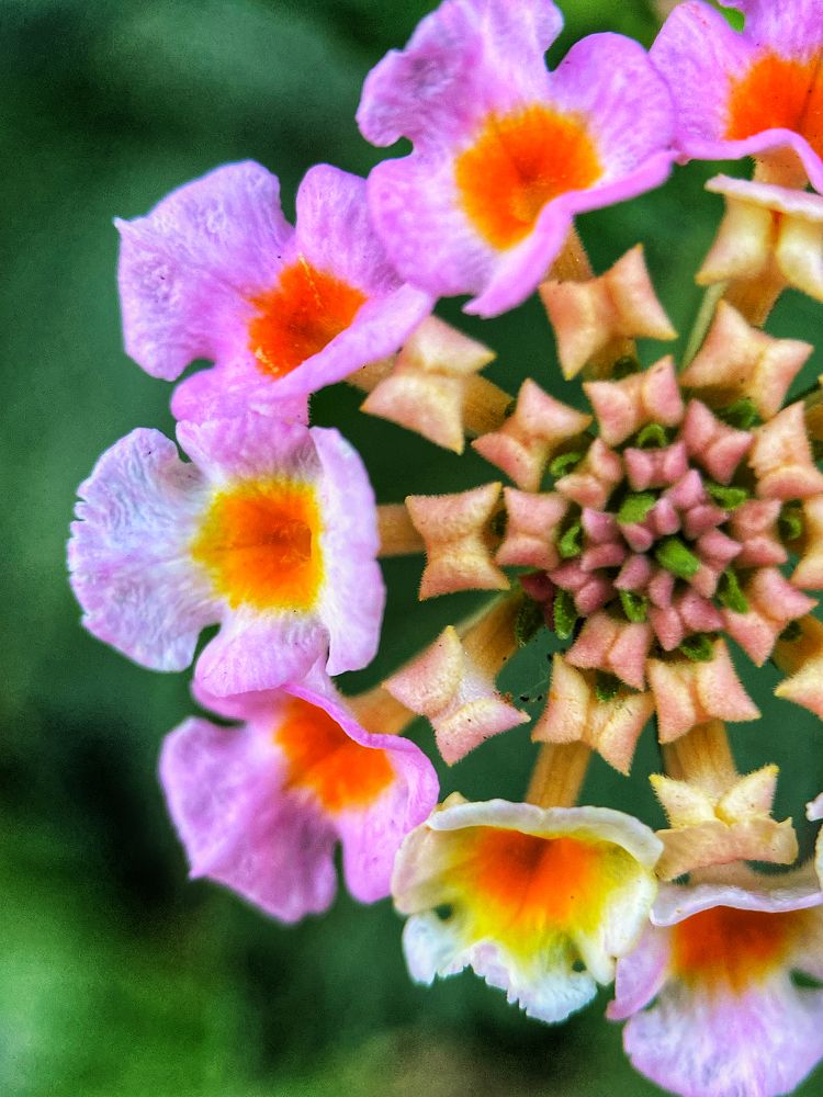 Photograph by Ольга Атаева