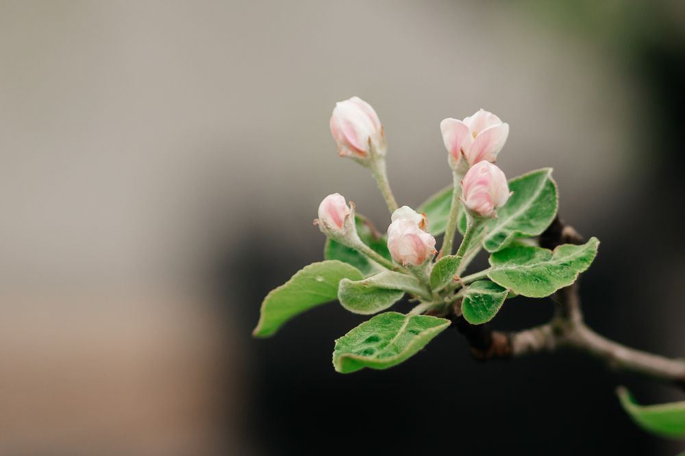 Photograph by Людмила Панюхина