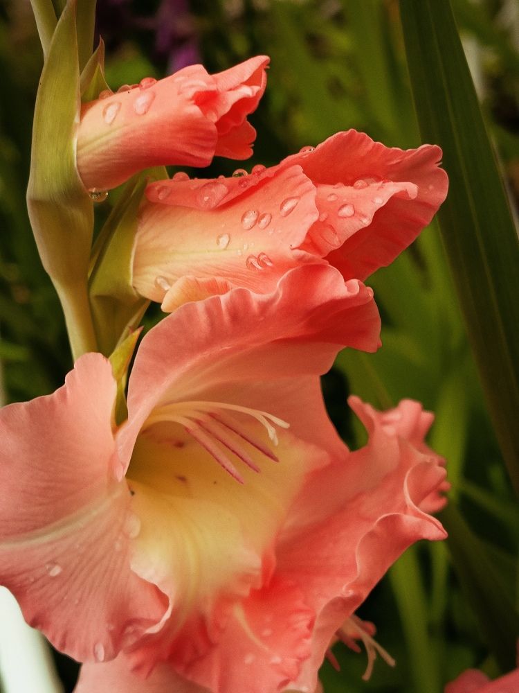 Photograph by Татьяна Бешенкина