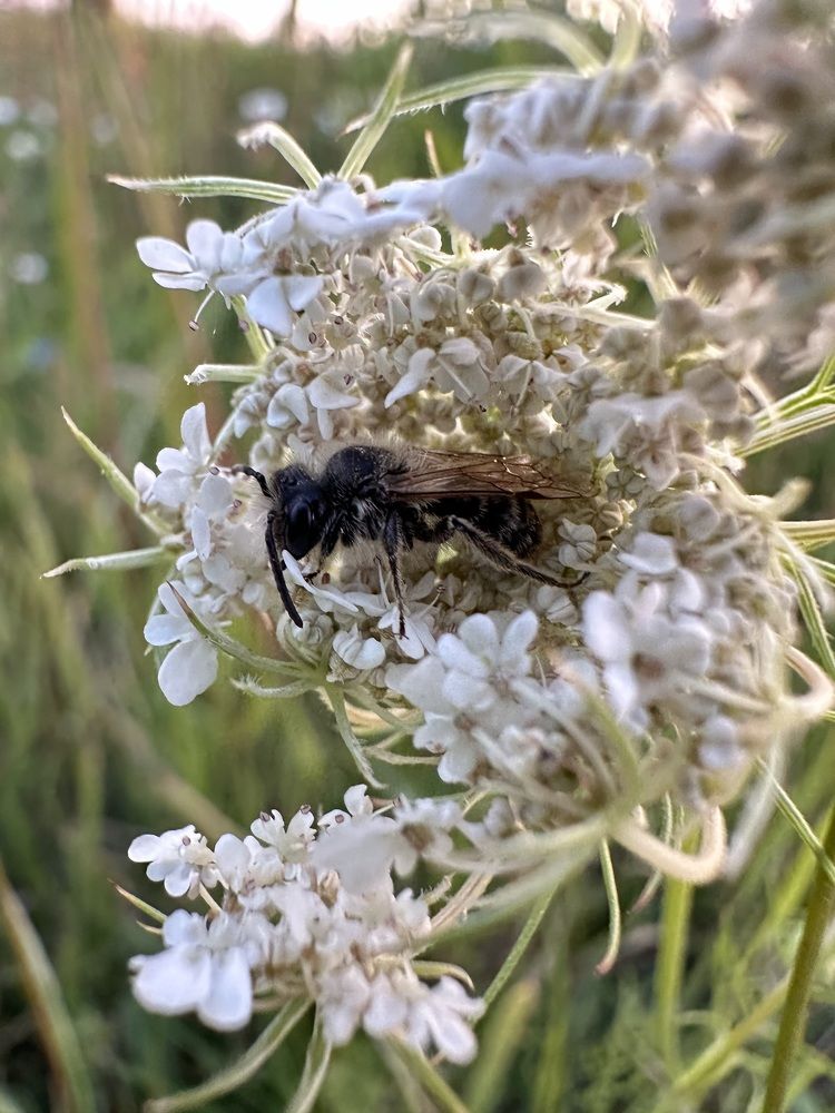 Photograph by Екатерина Балакина