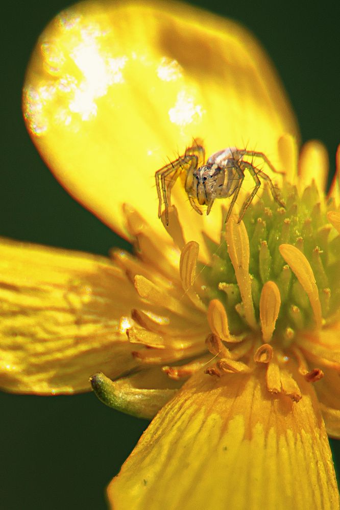 Photograph by Марина Фрейман