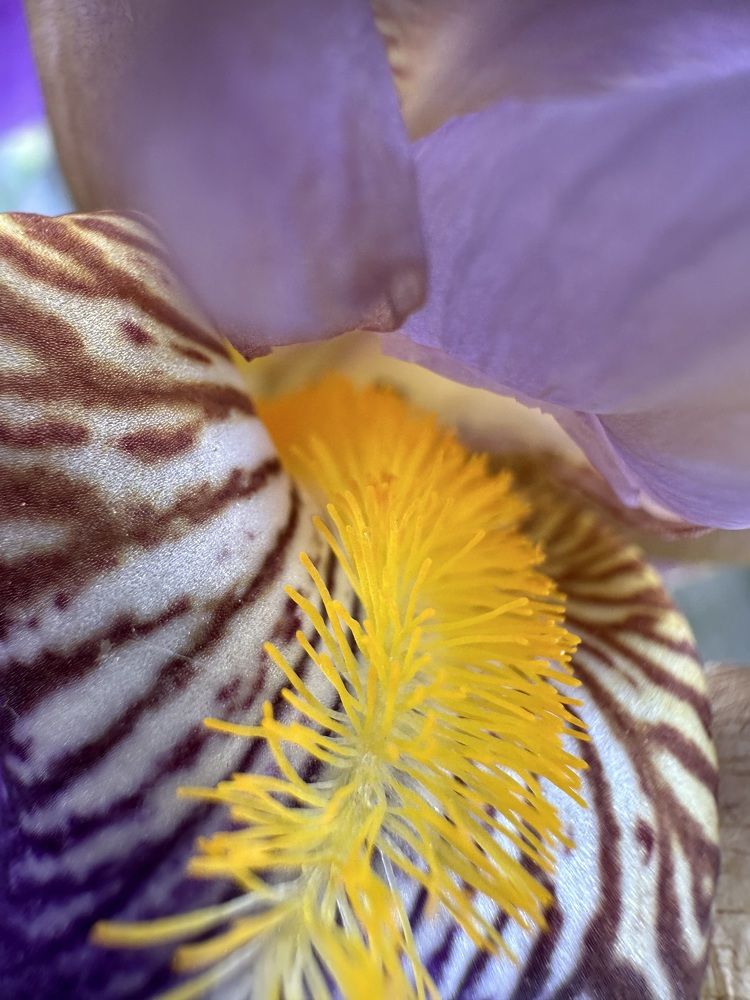 Photograph by Екатерина Балакина