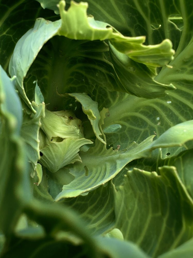 Photograph by Екатерина Балакина