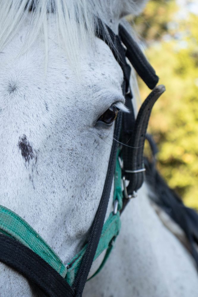 Photograph by Альфия Хабирова